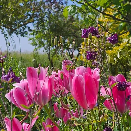 Komfortferienhaus Deichzauber Norddeich * Fluthorn