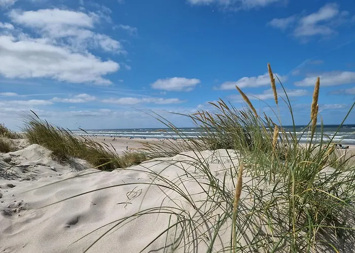 Komfortferienhaus Deichzauber Norddeich * نورديش